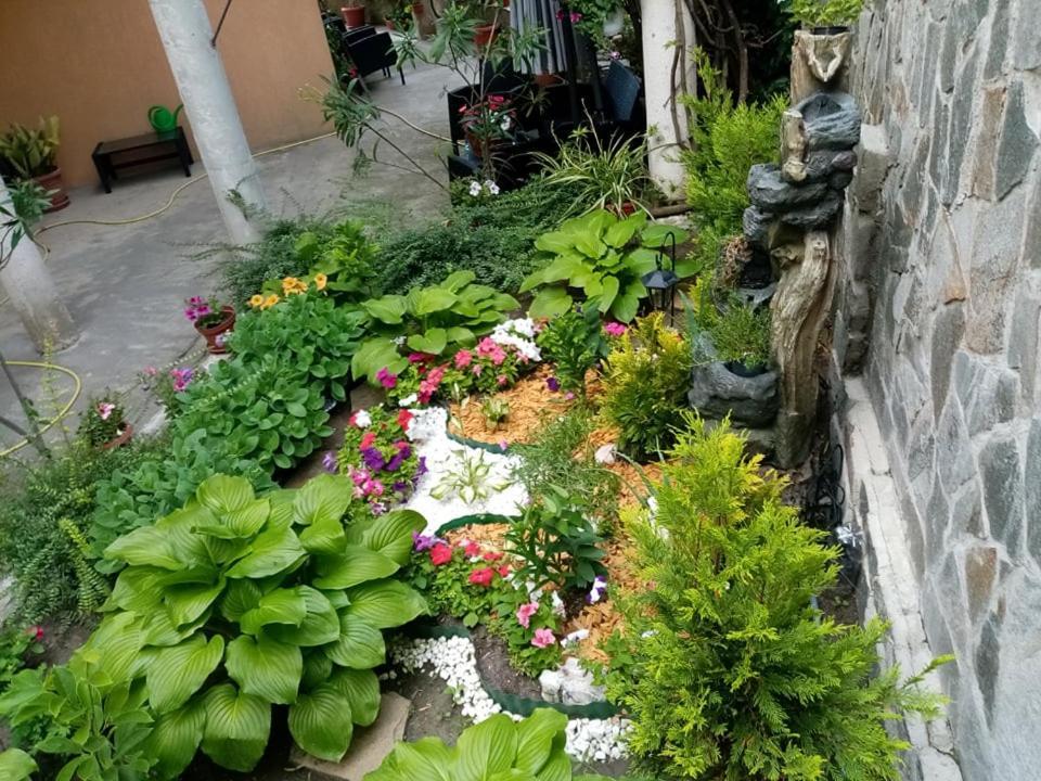 Pancho Family Hotel 克兰内沃 外观 照片