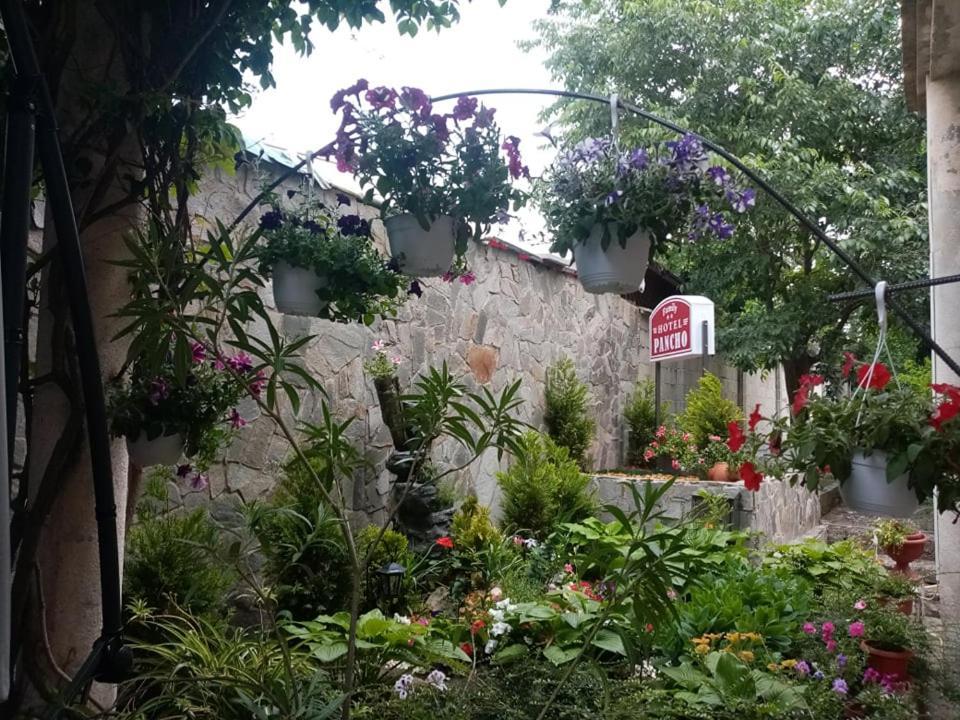 Pancho Family Hotel 克兰内沃 外观 照片